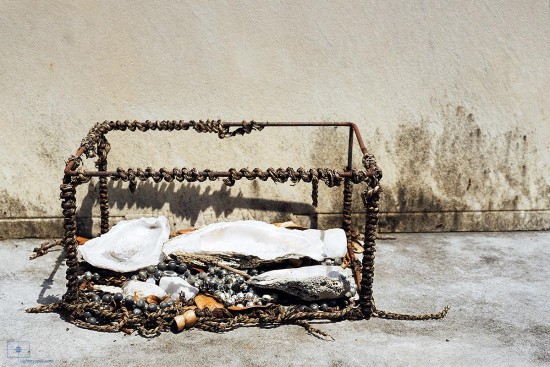 Wire Box with Oyster Shells, Lafayette Cemetery No 1, New Orleans