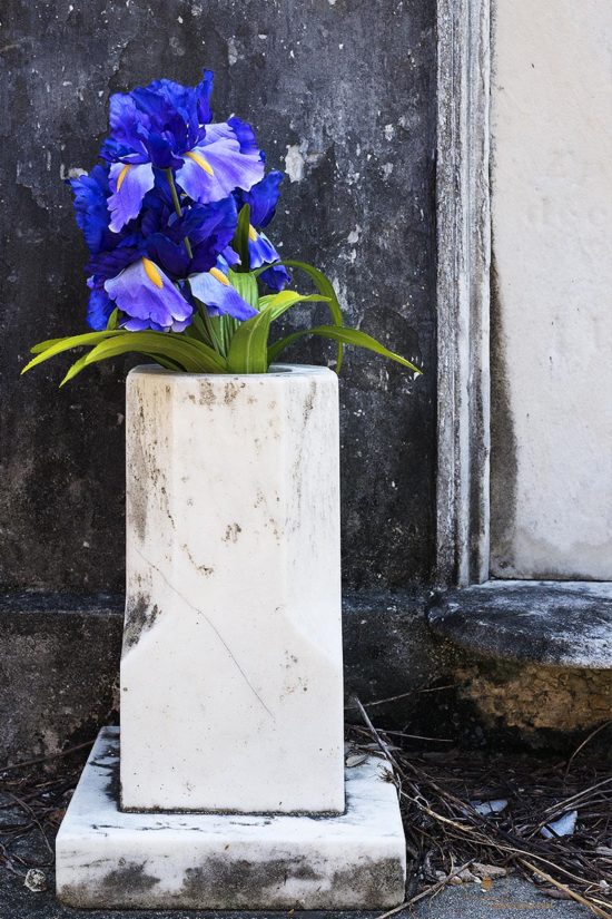 Irises in White Marble Urn, St. Louis Cemetery No 1, New Orleans