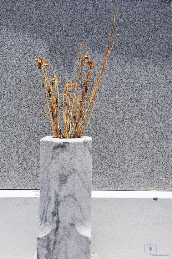 Dried Flower Stalks in a Marble Urn, St. Louis Cemetery No 1, New Orleans, Louisiana