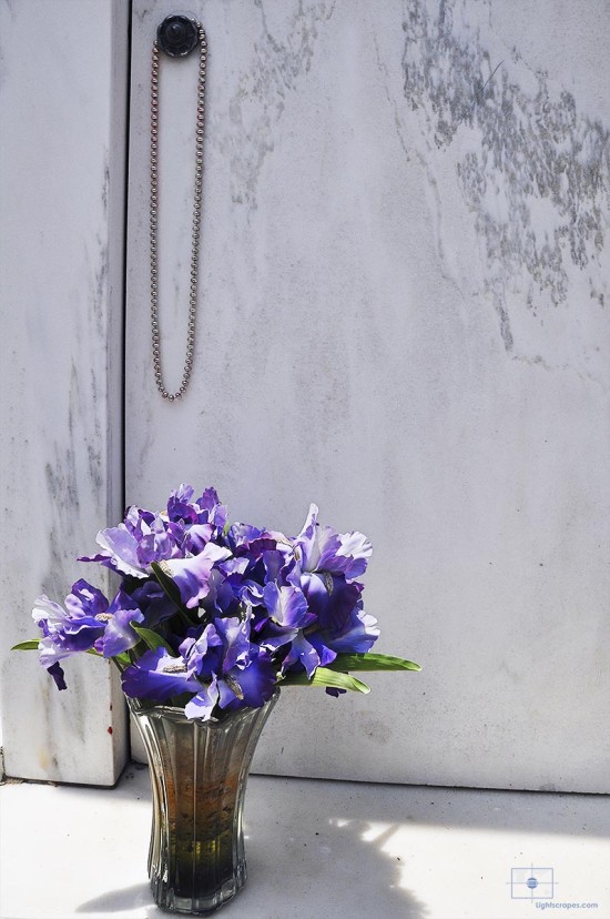 Irises in Glass Vase with Mardi Gras Beads, St. Louis Cemetery No 1, New Orleans, Louisiana