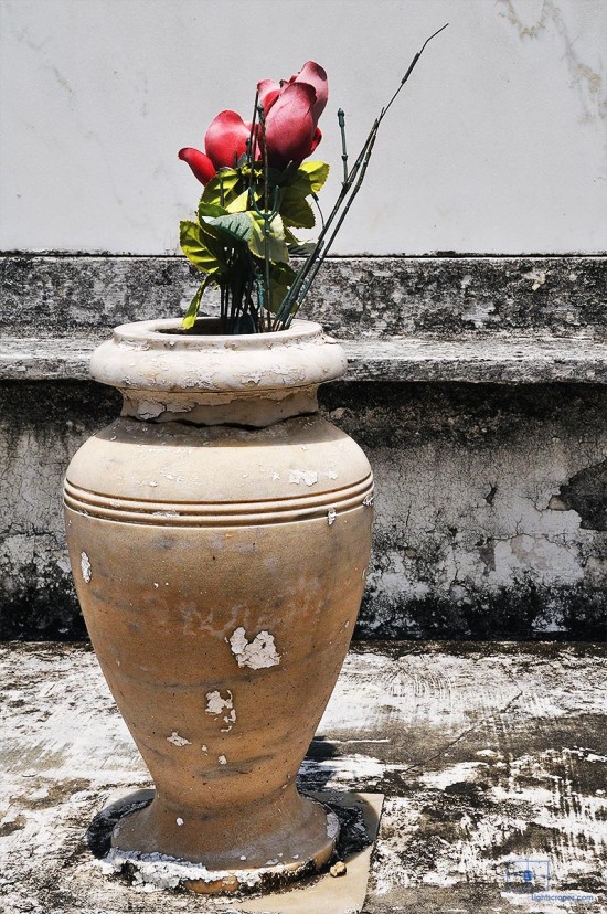 Artificial Red Roses in a Marble Vase, St. Louis Cemetery No 1, New Orleans, Louisiana