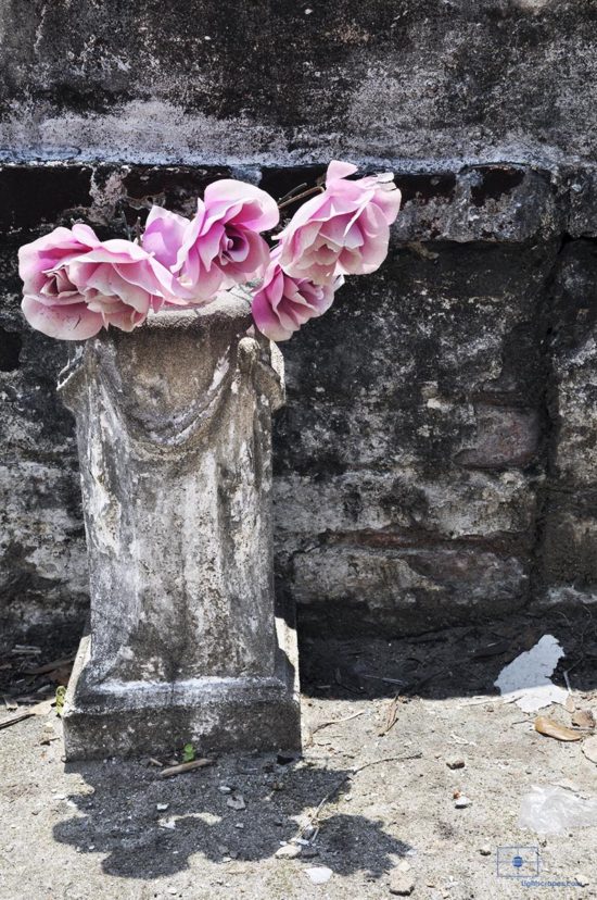Pink Roses in Marble Vase, St. Louis Cemetery No 1, New Orleans, Louisiana