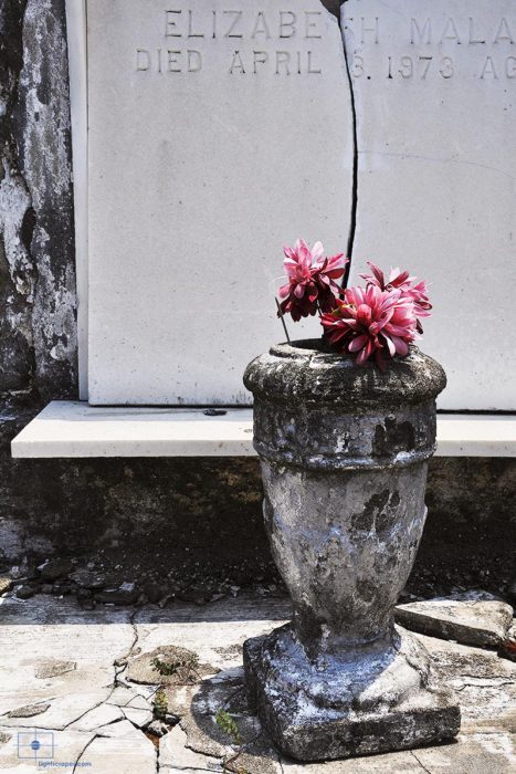 Pink Cloth Chrysanthemums in Stone Urn, St. Louis Cemetery No 1, New Orleans, Louisiana