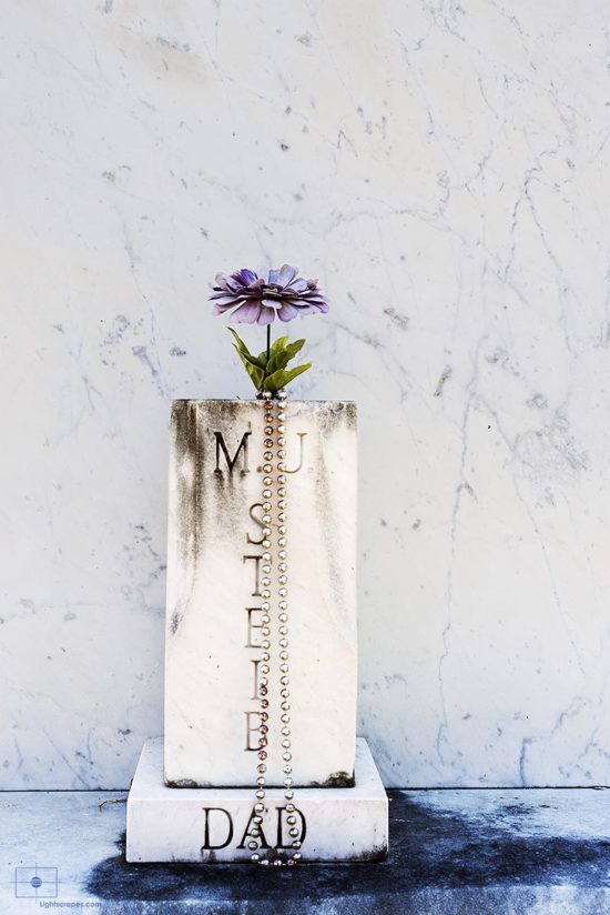 Michaelmas Daisy in Marble Urn, Lafayette Cemetery No 1, New Orleans