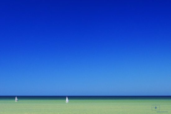 White Sailboats on the Gulf of Mexico, Naples, Florida