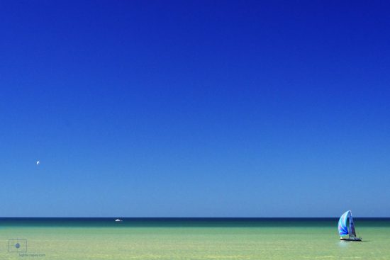 Sailboat with Blue Spinnaker on the Gulf of Mexico, Naples, Florida