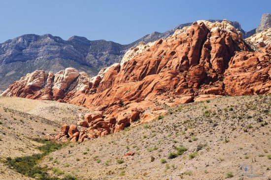 Red Rocks at Calico Hills with Turtlehead Mountain, Red Rock Canyon, Nevada Red Rocks at Calico Hills with Turtlehead Mountain, Red Rock Canyon, Nevada