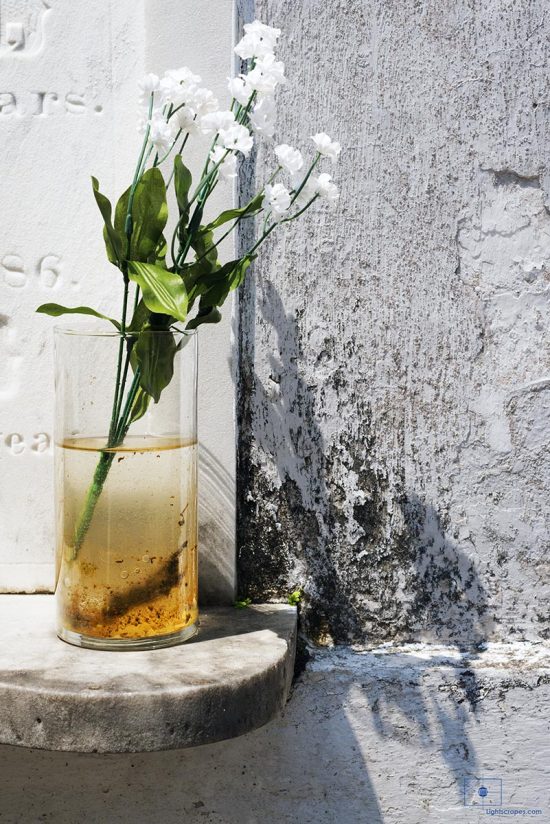 Artificial Baby's Breath Flowers in a Glass of Water, Lafayette Cemetery No 1, New Orleans