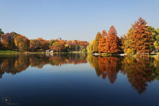 Harlem Meer with Fall Colors, Central Park, New York City Fall Colors on Trees and Reflections from Harlem Meer, Central Park, New York City