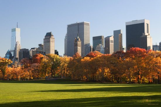 Sheep Meadow and Central Park South, New York City Sheep Meadow with Buildings of Central Park South and 5th Avenue, New York City