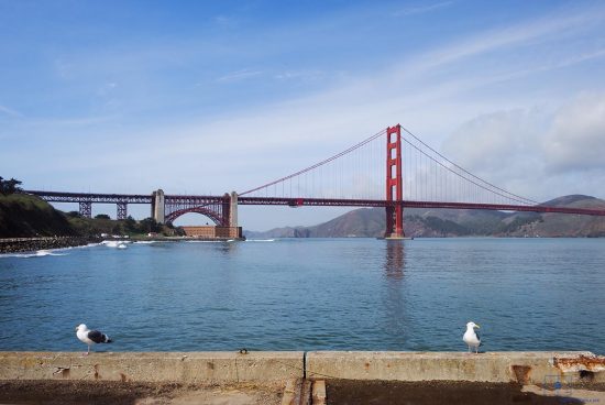 San Francisco, California, Seagulls on Torpedo Wharf with the Bridge Golden Gate Bridge with San Francisco Bay and Seagulls on Torpedo Wharf, San Francisco, California