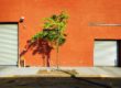 Tree and Orange Brick Warehouse at Sunset - Red Hook, Brooklyn